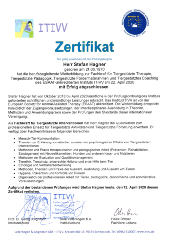Zertifikat Stefan Hagner über abgeschlossene Fachkraftausbildung 