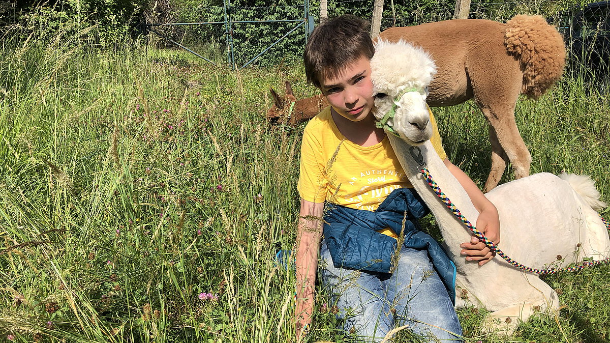 Kind sitzt mit Alpaka in Wiese