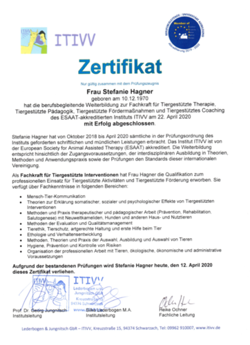 Zertifikat Steffi Hagner über abgeschlossene Fachkraftausbildung 
